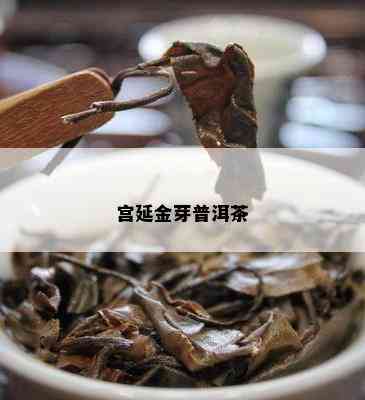 宫延金芽普洱茶