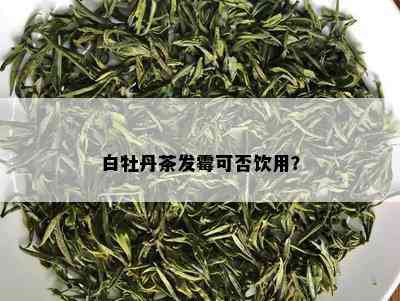 白牡丹茶发霉可否饮用？