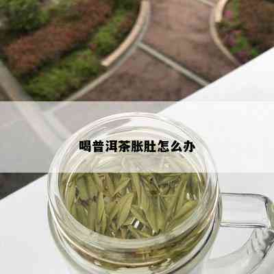 喝普洱茶胀肚怎么办