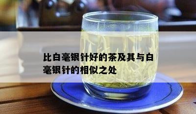 比白毫银针好的茶及其与白毫银针的相似之处