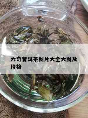 六奇普洱茶图片大全大图及价格