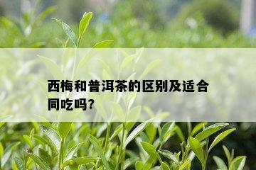 西梅和普洱茶的区别及适合同吃吗?