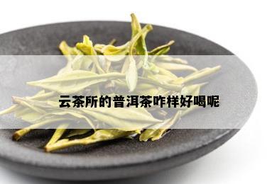 云茶所的普洱茶咋样好喝呢