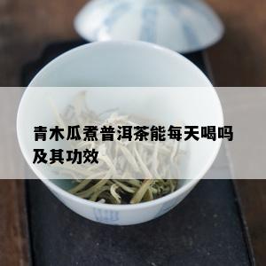 青木瓜煮普洱茶能每天喝吗及其功效