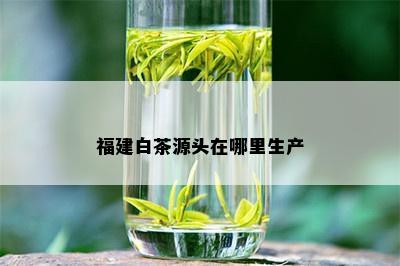 福建白茶源头在哪里生产