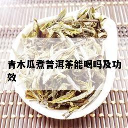 青木瓜煮普洱茶能喝吗及功效