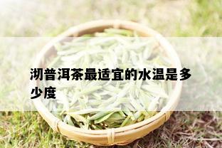 沏普洱茶最适宜的水温是多少度