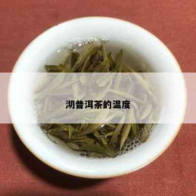 沏普洱茶的温度