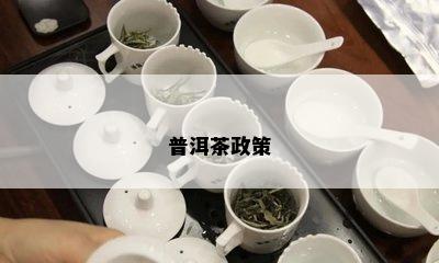 普洱茶政策