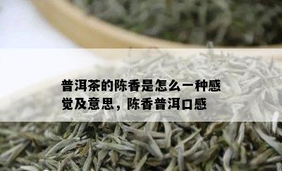 普洱茶的陈香是怎么一种感觉及意思，陈香普洱口感