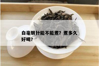 白毫银针能不能煮？煮多久好喝？