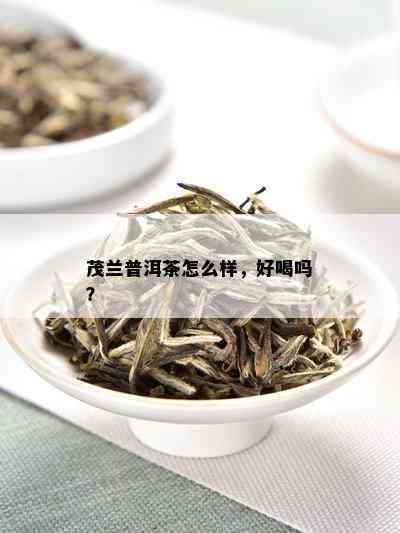 茂兰普洱茶怎么样，好喝吗？