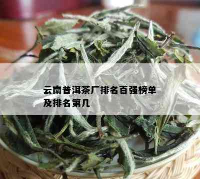 云南普洱茶厂排名百强榜单及排名第几