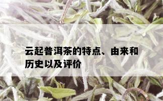 云起普洱茶的特点、由来和历史以及评价