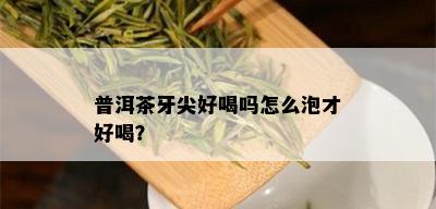 普洱茶牙尖好喝吗怎么泡才好喝？