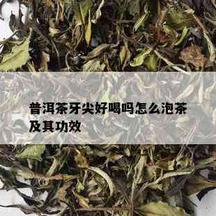 普洱茶牙尖好喝吗怎么泡茶及其功效