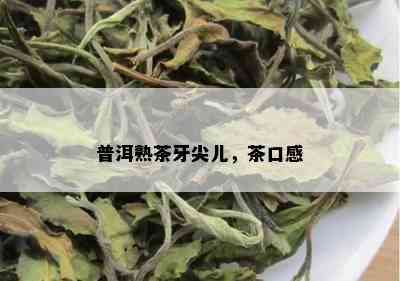 普洱熟茶牙尖儿，茶口感