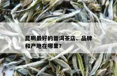 昆明更好的普洱茶店、品牌和产地在哪里？