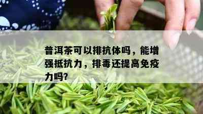 普洱茶可以排抗体吗，能增强抵抗力，排还提高免疫力吗？