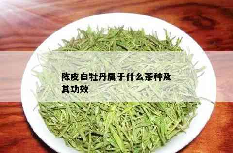 陈皮白牡丹属于什么茶种及其功效