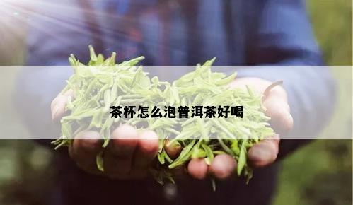 茶杯怎么泡普洱茶好喝