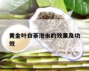 黄金叶白茶泡水的效果及功效