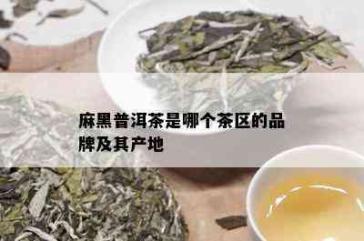 麻黑普洱茶是哪个茶区的品牌及其产地