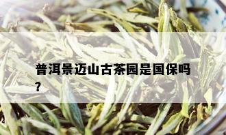 普洱景迈山古茶园是国保吗？