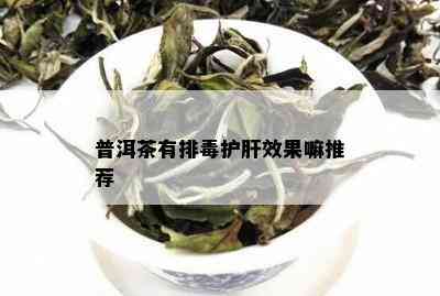 普洱茶有排护肝效果嘛推荐