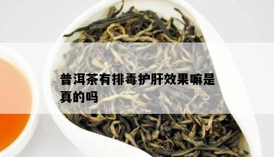 普洱茶有排护肝效果嘛是真的吗