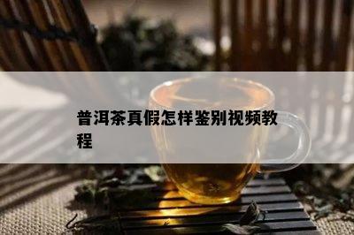 普洱茶真假怎样鉴别视频教程