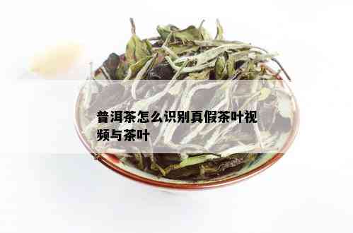 普洱茶怎么识别真假茶叶视频与茶叶