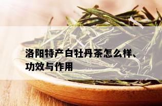 洛阳特产白牡丹茶怎么样、功效与作用