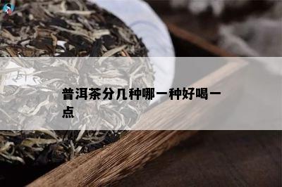 普洱茶分几种哪一种好喝一点