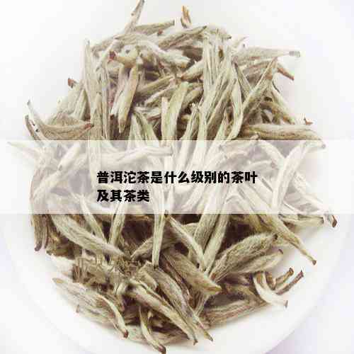 普洱沱茶是什么级别的茶叶及其茶类