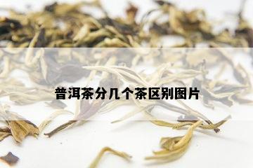 普洱茶分几个茶区别图片