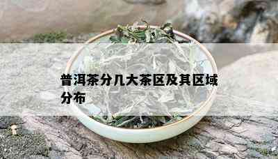 普洱茶分几大茶区及其区域分布