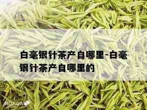 白毫银针茶产自哪里-白毫银针茶产自哪里的