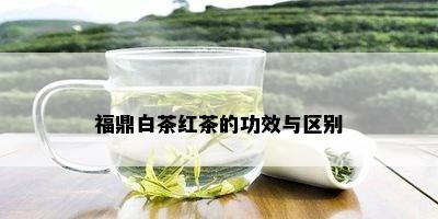 福鼎白茶红茶的功效与区别