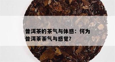 普洱茶的茶气与体感：何为普洱茶茶气与感觉？