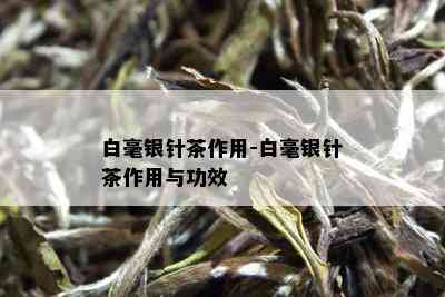 白毫银针茶作用-白毫银针茶作用与功效