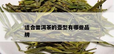 适合普洱茶的壶型有哪些品牌