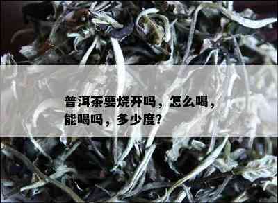 普洱茶要烧开吗，怎么喝，能喝吗，多少度？