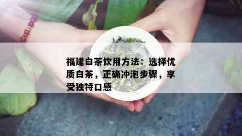 福建白茶饮用方法：选择优质白茶，正确冲泡步骤，享受独特口感