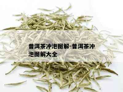 普洱茶冲泡图解-普洱茶冲泡图解大全