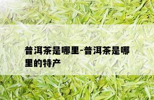 普洱茶是哪里-普洱茶是哪里的特产