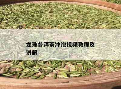 龙珠普洱茶冲泡视频教程及讲解