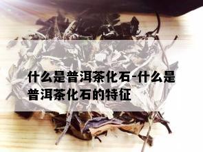 什么是普洱茶化石-什么是普洱茶化石的特征