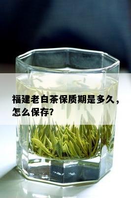 福建老白茶保质期是多久，怎么保存？