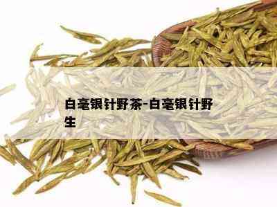 白毫银针野茶-白毫银针野生